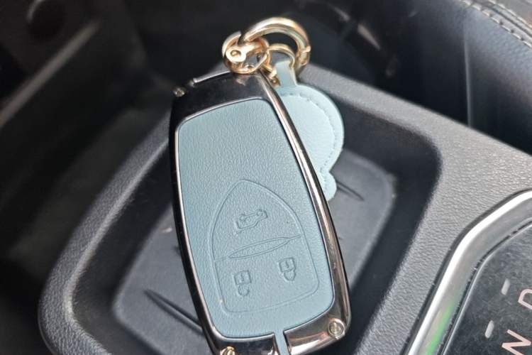 Used Dayun Yuehu 2022 Revised Version 30.66 kWh Two-Wheel Drive Luxury Edition Vehicle Key