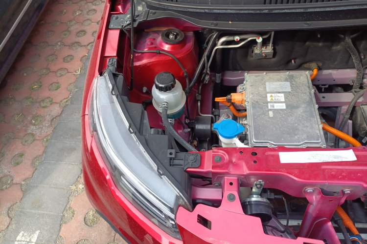 Used Dayun Yuehu 2022 300 Standard Edition Engine Bay Right