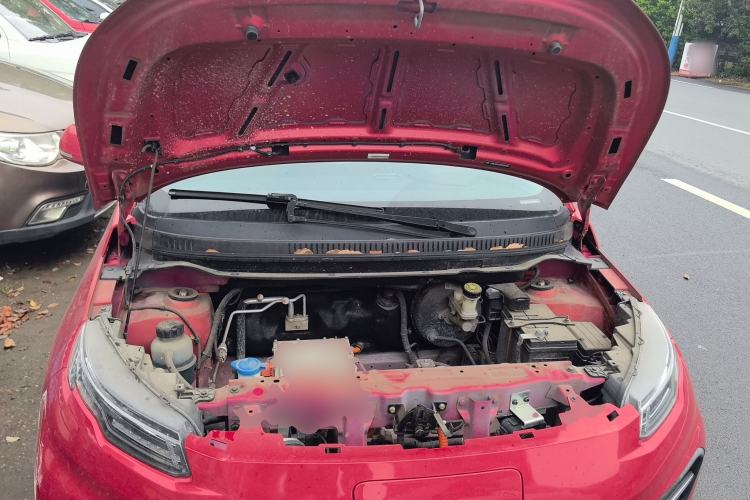 Used Dayun Yuehu 2022 300 Standard Edition Engine Bay