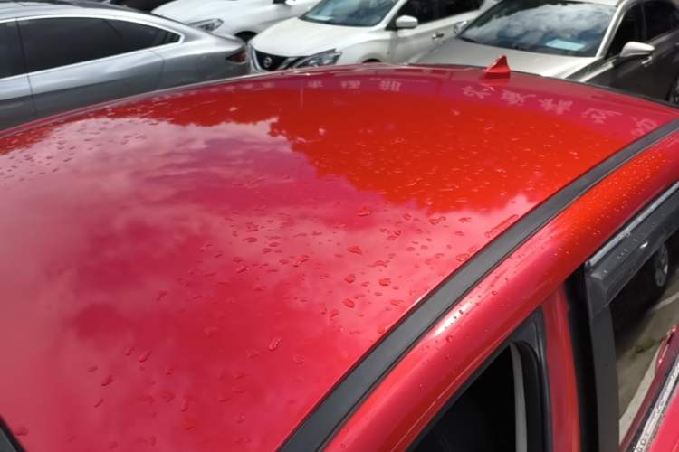 Used Dayun Yuehu 2022 300 Standard Edition Roof