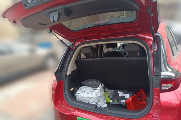 Used Dayun Yuehu 2022 300 Standard Edition Trunk