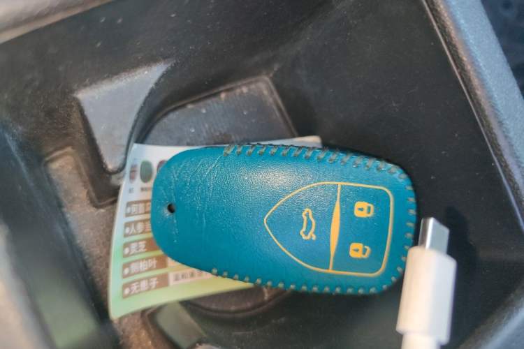 Used Dayun Yuehu 2022 30.66 kWh Two-Wheel Drive Standard Version Vehicle Key