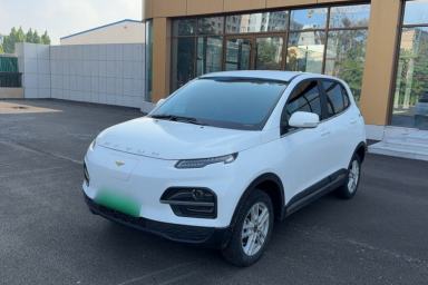 Used Dayun Yuehu 2022 330 Standard Edition