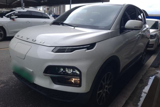Used Dayun Yuehu 2022 30.66 kWh Two-Wheel Drive VIP Edition