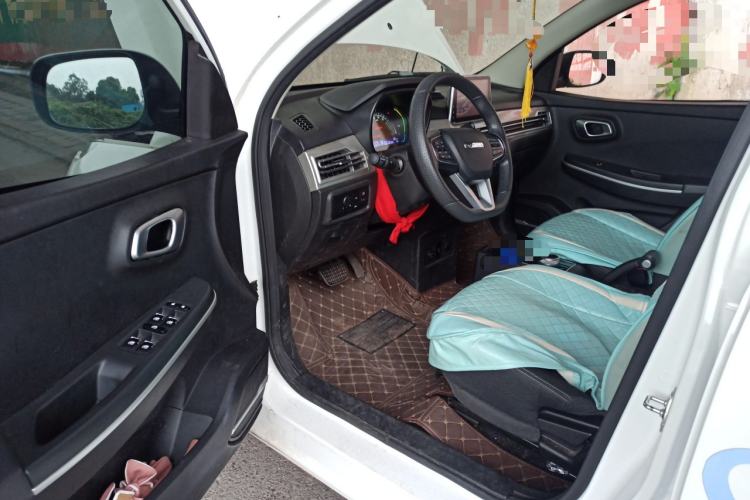 Used Dayun Yuehu 2022 30.66 kWh Two-Wheel Drive Standard Version Driver Seat