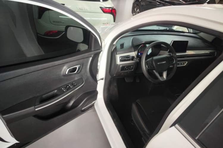 Used Dayun Yuehu 2022 30.66 kWh Two-Wheel Drive Standard Version Driver Seat