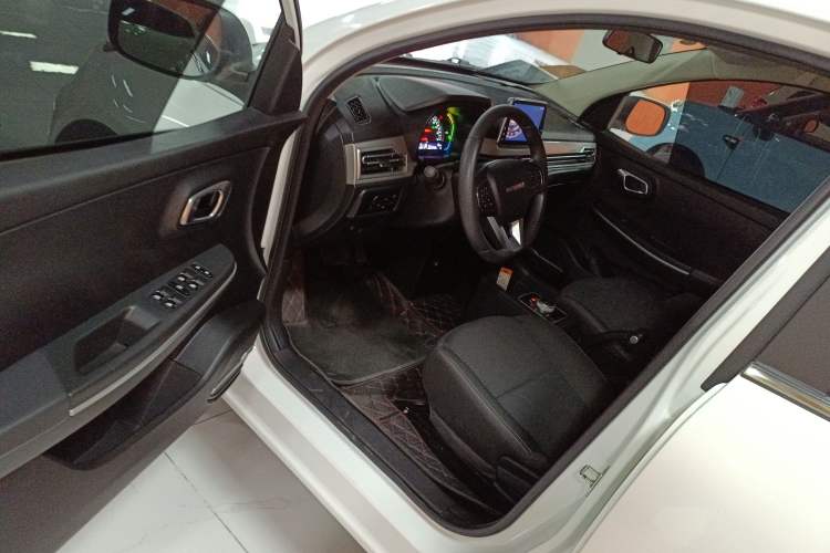 Used Dayun Yuehu 2022 30.66 kWh Two-Wheel Drive Standard Version Driver Seat
