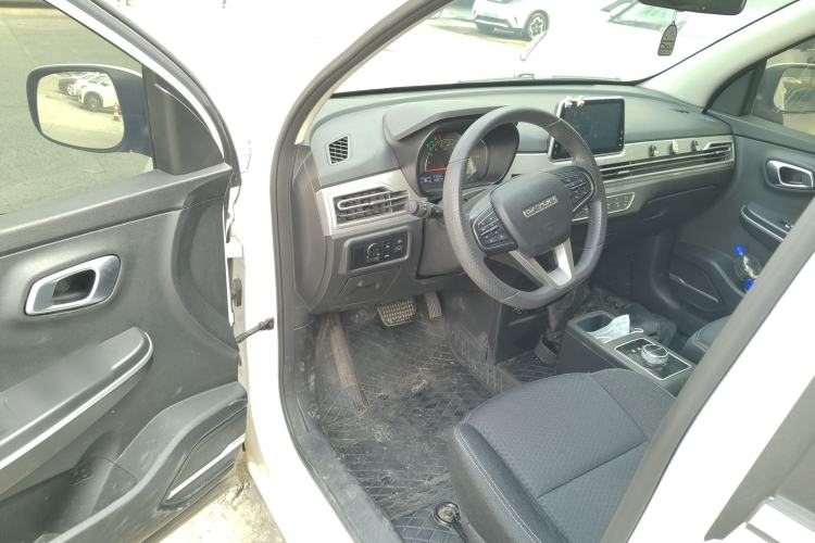Used Dayun Yuehu 2022 30.66 kWh Two-Wheel Drive Standard Version Driver Seat