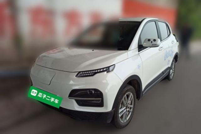 Used Dayun Yuehu 2022 30.66 kWh Two-Wheel Drive Standard Version
