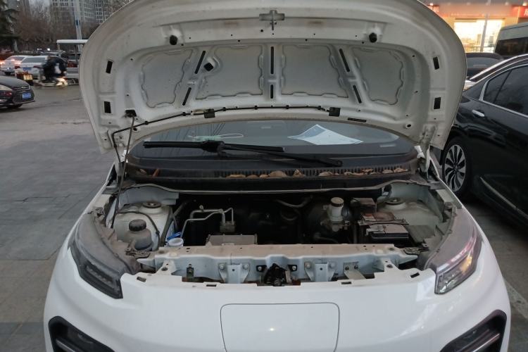 Used Dayun Yuehu 2022 300 Standard Edition Engine Bay