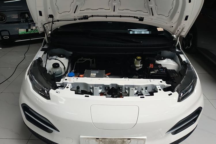Used Dayun Yuehu 2022 300 Standard Edition Engine Bay