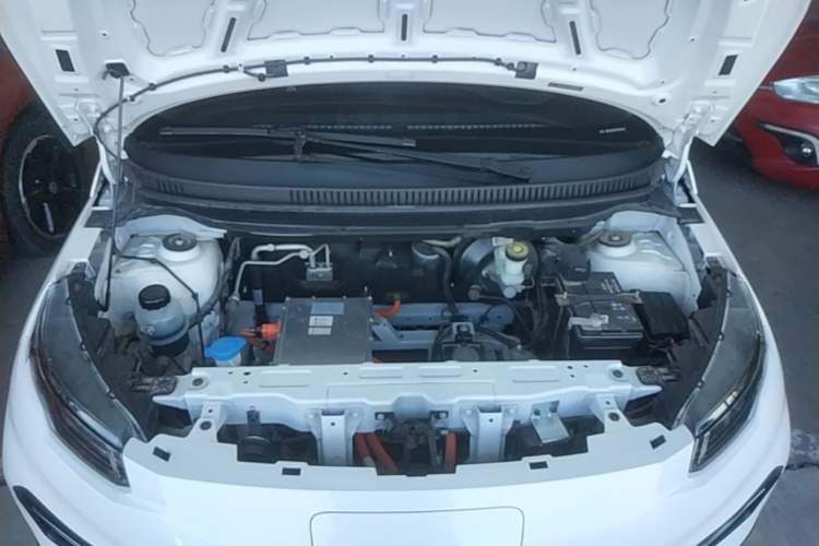 Used Dayun Yuehu 2022 30.66 kWh Two-Wheel Drive Standard Version Engine Bay