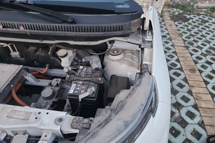 Used Dayun Yuehu 2022 Revised Version 30.66 kWh Two-Wheel-Drive VIP Edition Engine Bay Left