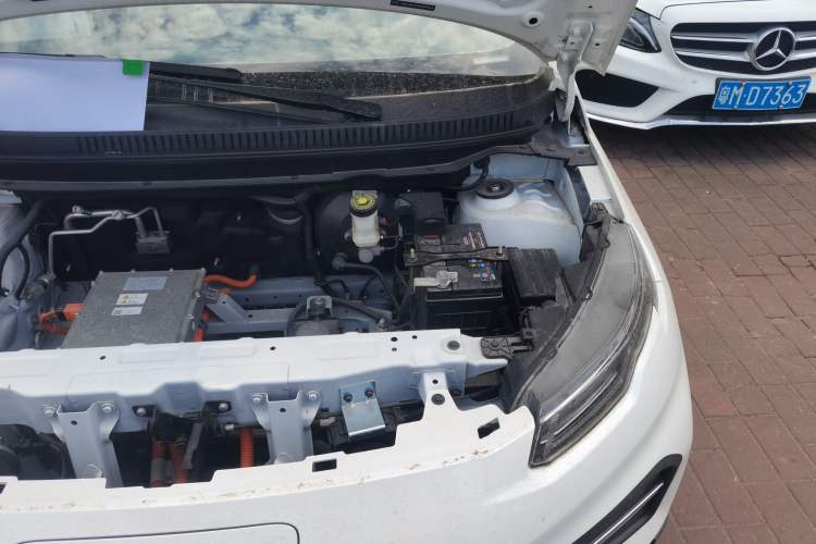 Used Dayun Yuehu 2022 30.66 kWh Two-Wheel Drive Standard Version Engine Bay Left