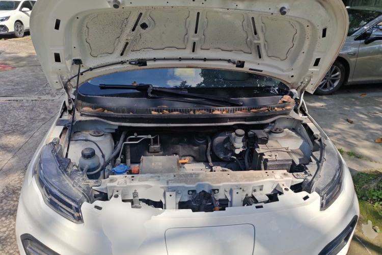 Used Dayun Yuehu 2022 300 Standard Edition Engine Bay