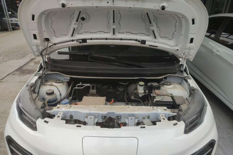 Used Dayun Yuehu 2022 300 Standard Edition Engine Bay