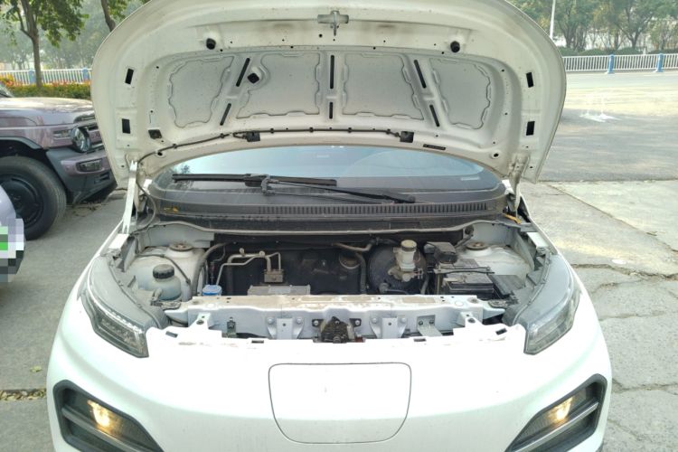 Used Dayun Yuehu 2022 30.66 kWh Two-Wheel Drive Standard Version Engine Bay