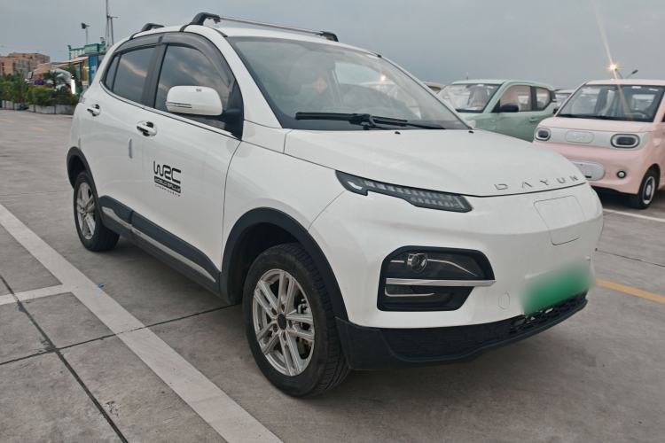 Used Dayun Yuehu 2022 30.66 kWh Two-Wheel Drive Standard Version Exterior 1