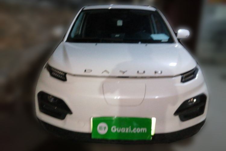 Used Dayun Yuehu 2022 30.66 kWh Two-Wheel Drive Standard Version Exterior 1