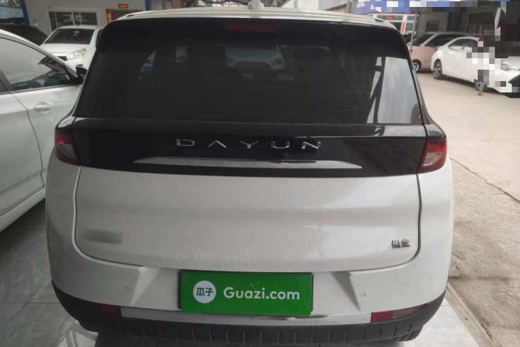 Used Dayun Yuehu 2022 300 Standard Edition Exterior 4