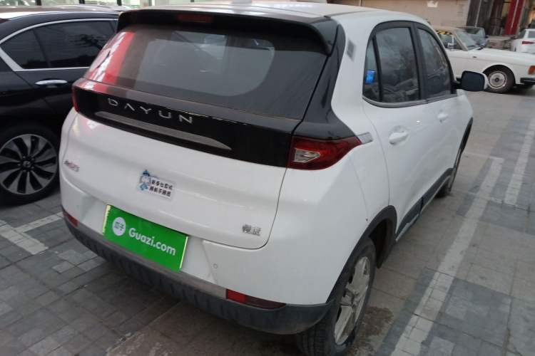 Used Dayun Yuehu 2022 300 Standard Edition Exterior 5