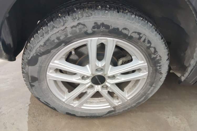 Used Dayun Yuehu 2022 30.66 kWh Two-Wheel Drive Standard Version Exterior 5
