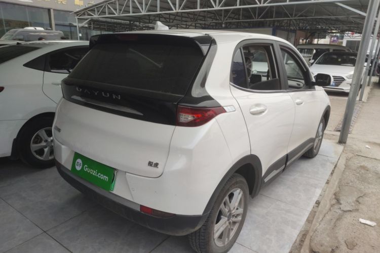 Used Dayun Yuehu 2022 300 Standard Edition Exterior 5