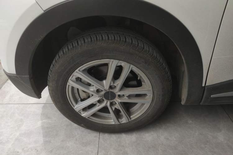 Used Dayun Yuehu 2022 300 Standard Edition Exterior 7