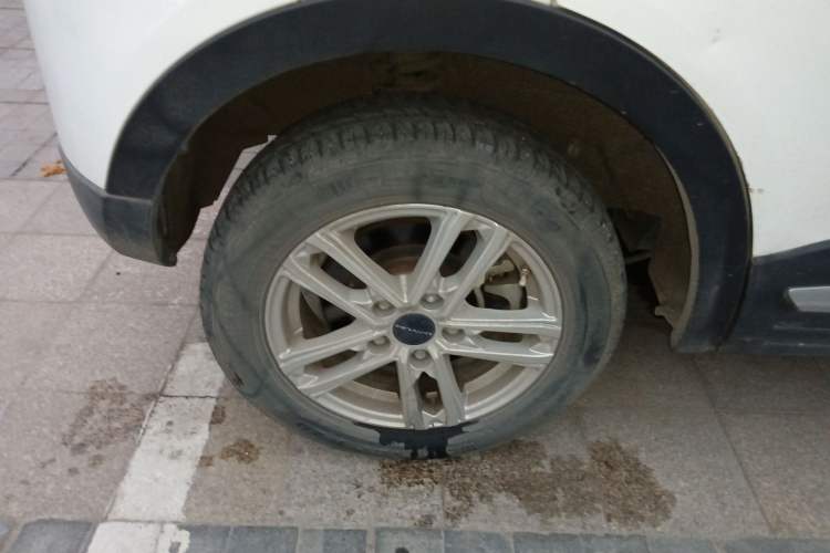 Used Dayun Yuehu 2022 300 Standard Edition Exterior 8