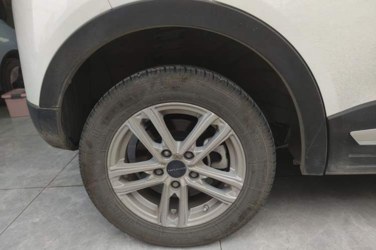 Used Dayun Yuehu 2022 300 Standard Edition Exterior 8