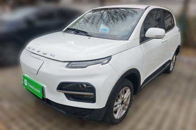 Used Dayun Yuehu 2022 30.66 kWh Two-Wheel Drive Standard Version