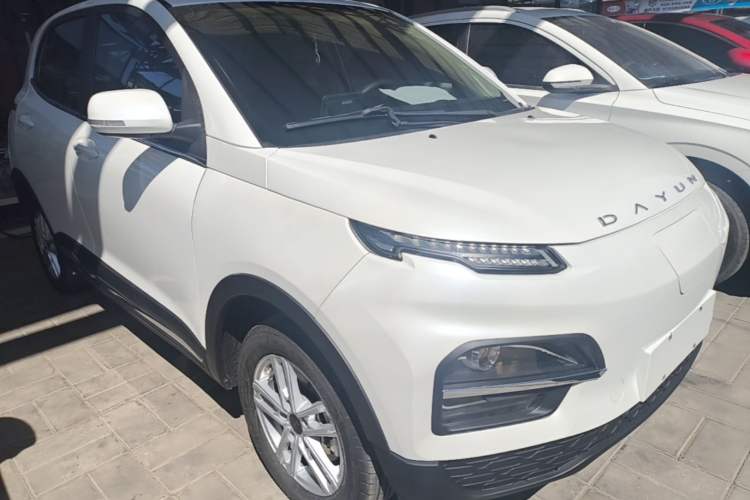 Used Dayun Yuehu 2022 30.66 kWh Two-Wheel Drive Standard Version Front Right 45 Deg