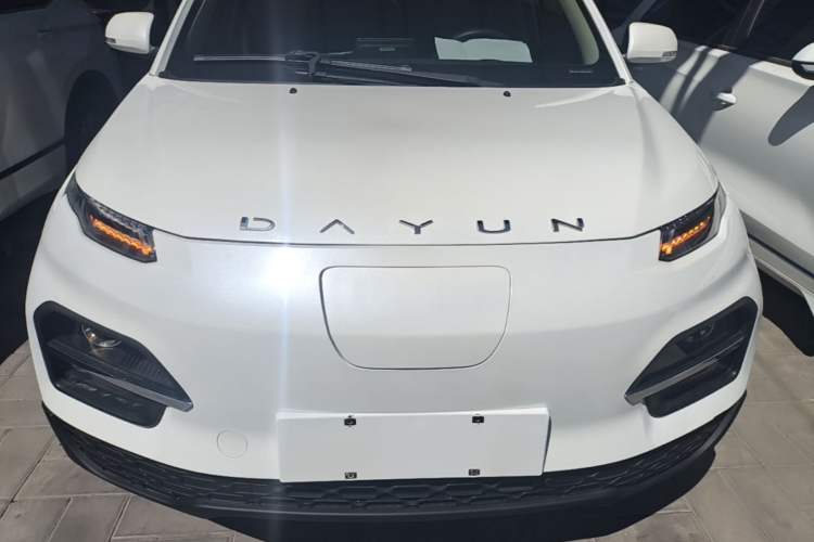 Used Dayun Yuehu 2022 30.66 kWh Two-Wheel Drive Standard Version Front