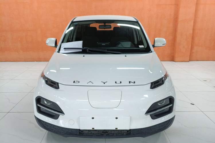 Used Dayun Yuehu 2022 30.66 kWh Two-Wheel Drive Standard Version Front