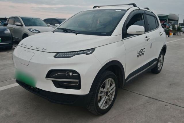 Used Dayun Yuehu 2022 30.66 kWh Two-Wheel Drive Standard Version
