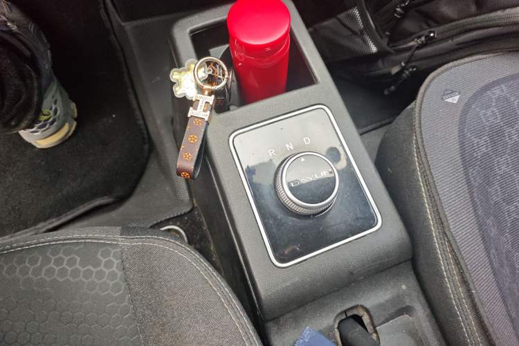 Used Dayun Yuehu 2022 30.66 kWh Two-Wheel Drive Standard Version Gear Lever