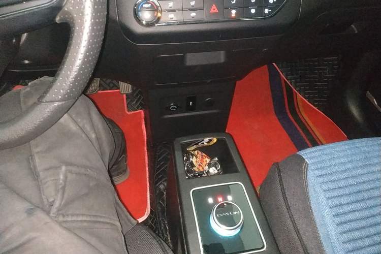 Used Dayun Yuehu 2022 30.66 kWh Two-Wheel Drive Luxury Edition Gear Lever