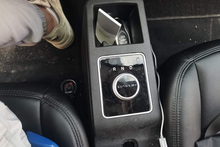 Used Dayun Yuehu 2022 30.66 kWh Two-Wheel Drive Standard Version Gear Lever