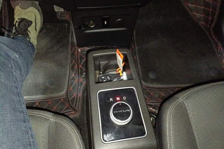 Used Dayun Yuehu 2022 30.66 kWh Two-Wheel Drive Standard Version Gear Lever