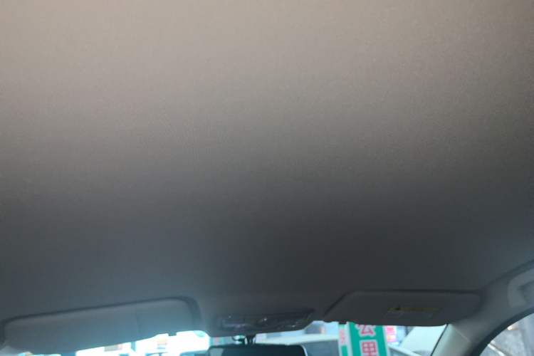 Used Dayun Yuehu 2022 300 Standard Edition Headliner