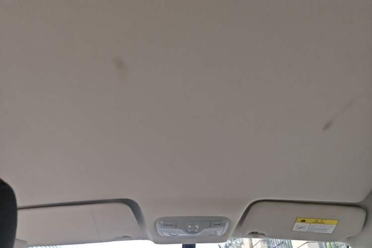 Used Dayun Yuehu 2022 30.66 kWh Two-Wheel Drive Standard Version Headliner