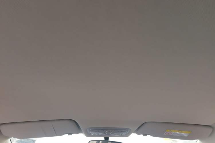 Used Dayun Yuehu 2022 30.66 kWh Two-Wheel Drive Standard Version Headliner