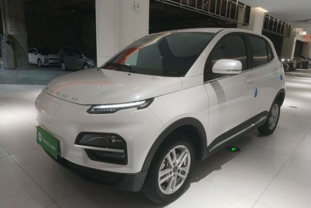 Used Dayun Yuehu 2022 30.66 kWh Two-Wheel Drive Luxury Edition