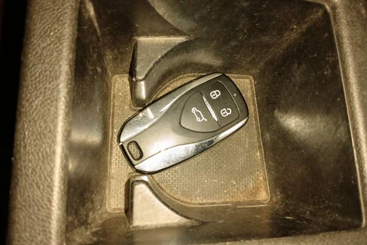 Used Dayun Yuehu 2022 300 Standard Edition Interior 1