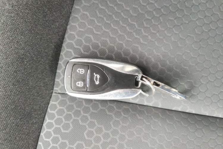 Used Dayun Yuehu 2022 300 Standard Edition Interior 1
