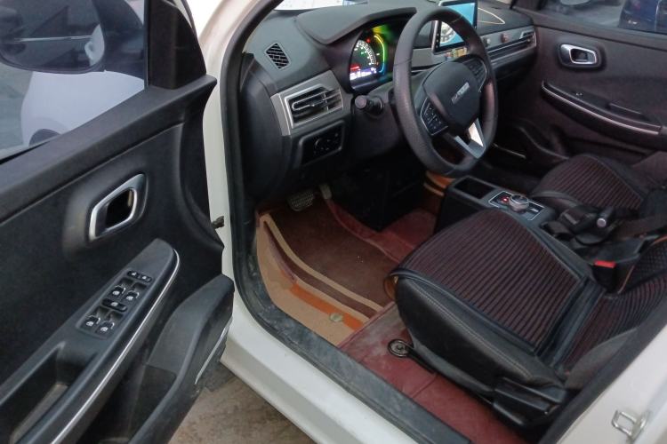 Used Dayun Yuehu 2022 300 Standard Edition Interior 3