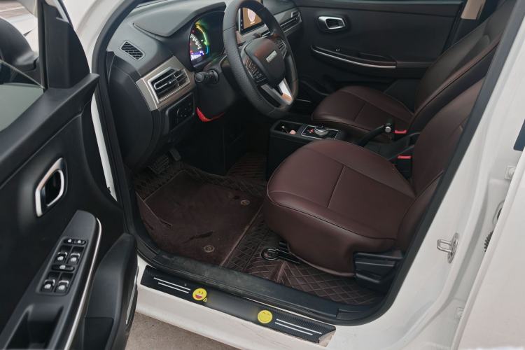 Used Dayun Yuehu 2022 30.66 kWh Two-Wheel Drive Standard Version Interior 3