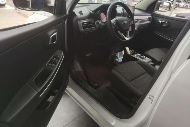 Used Dayun Yuehu 2022 300 Standard Edition Interior 3