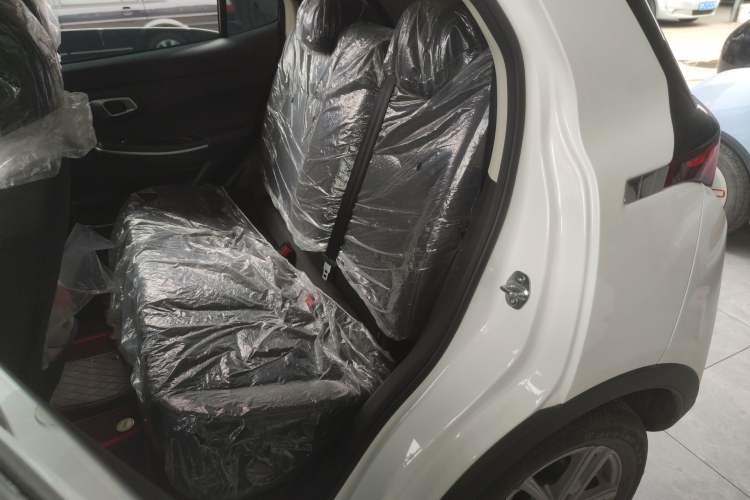 Used Dayun Yuehu 2022 300 Standard Edition Interior 4