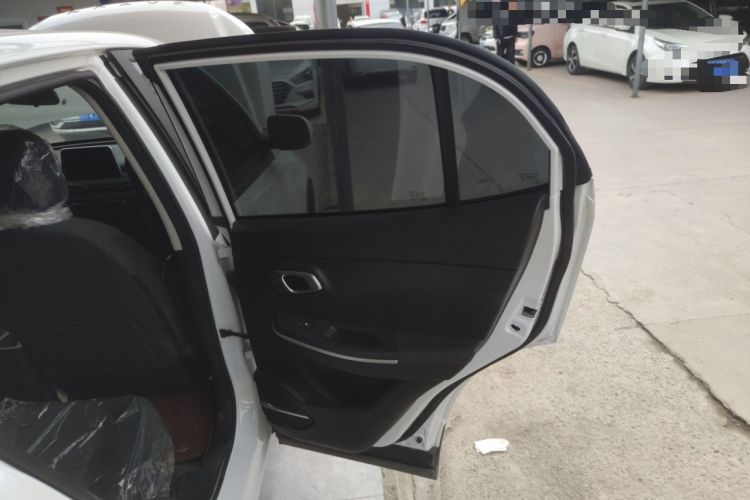 Used Dayun Yuehu 2022 300 Standard Edition Interior 6